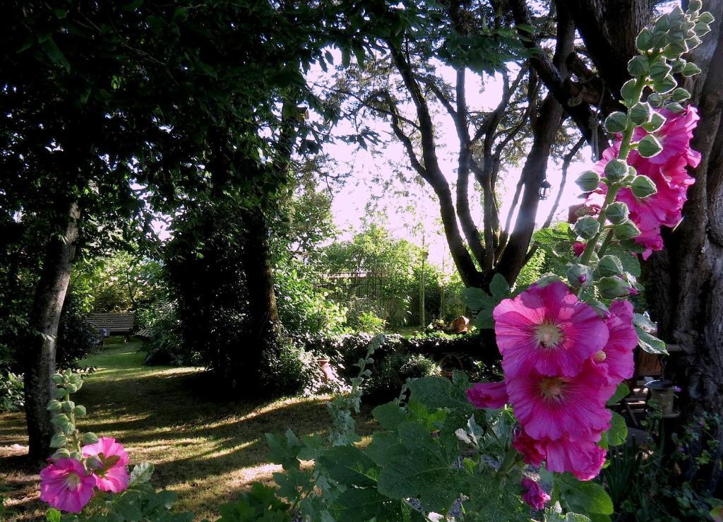 La Claverie Sainte-Radegonde-des-Noyers Экстерьер фото